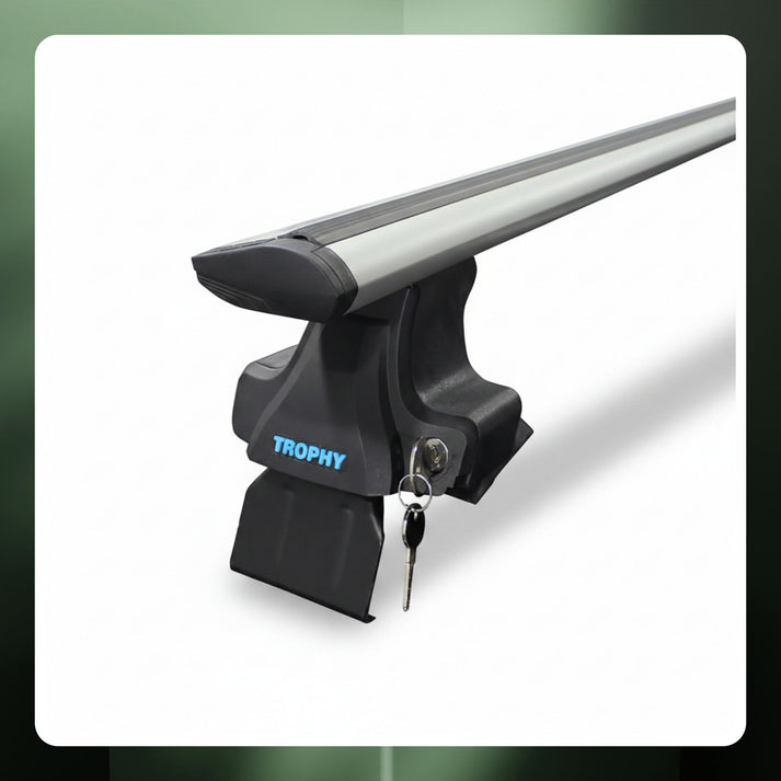 Anti-Theft Lock